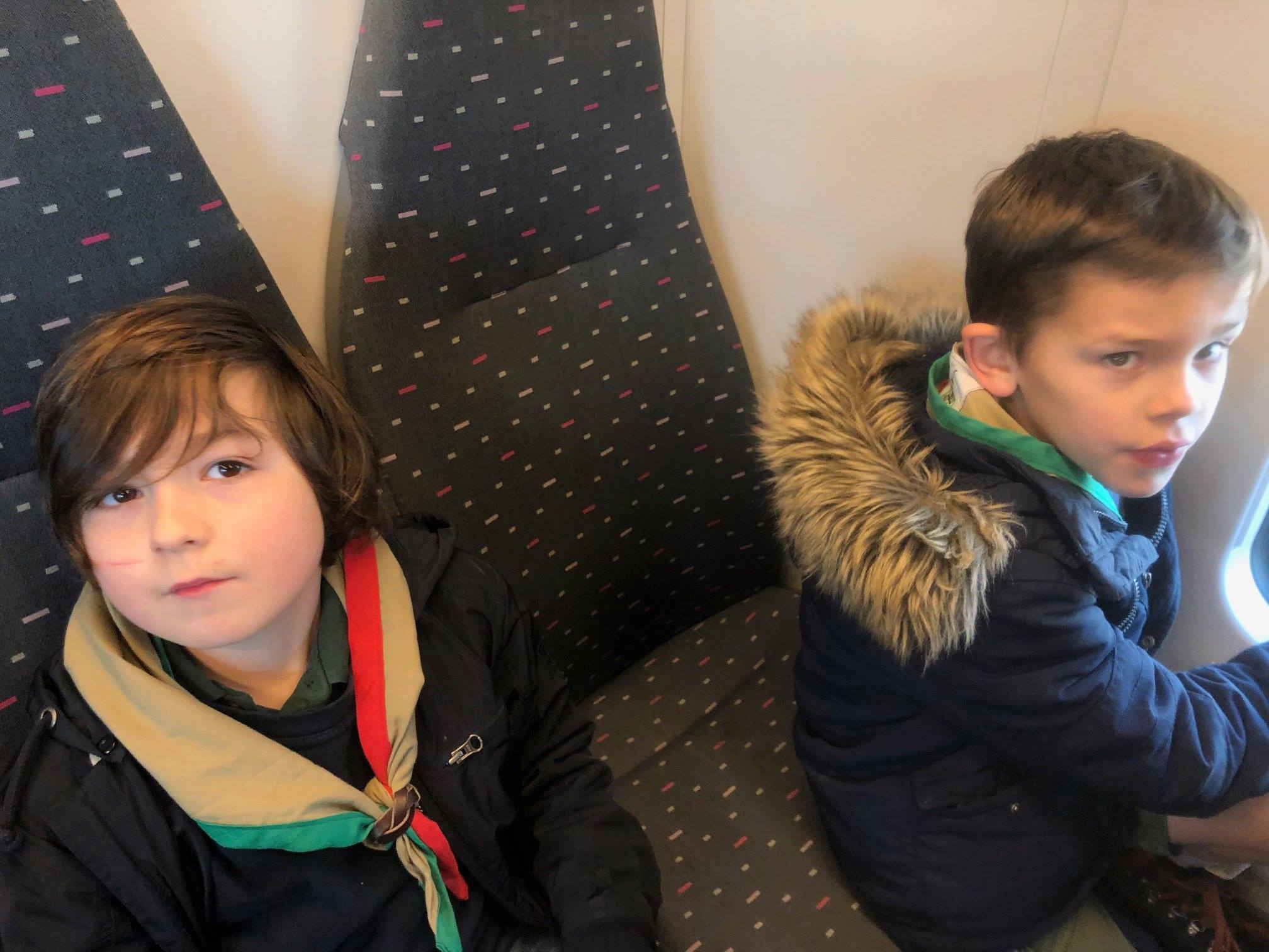 Sint-Martinus den XIIde - Zoo Antwerpen Kapoenen